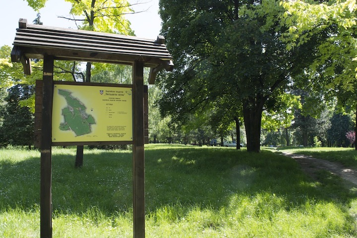 Zvezdara_(26) Zvezdara_(26)
