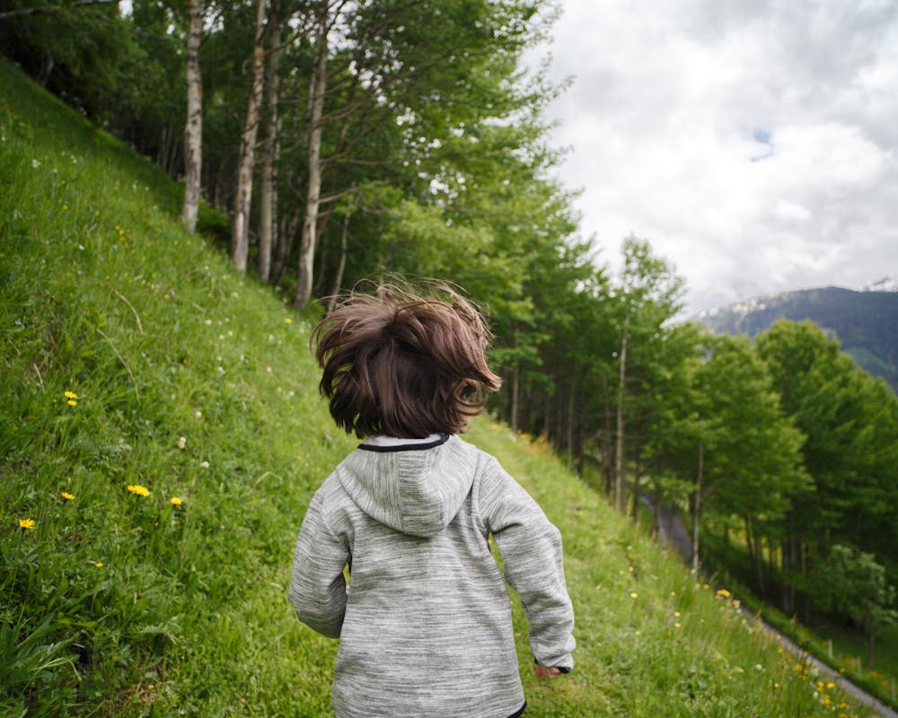 pexels-photo-2495567-1